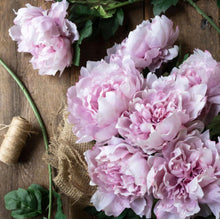 Load image into Gallery viewer, Abigail Ahern Peony Pink - French General Trading