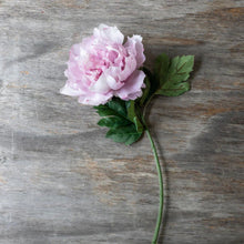 Load image into Gallery viewer, Abigail Ahern Peony Pink - French General Trading