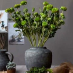 Abigail Ahern Ranunculus Verde - French General Trading