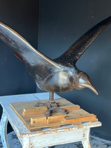 Hand - Carved Chestnut Wooden Albatross/Seagull Bird Sculpture | French Unique Rare - French General Trading