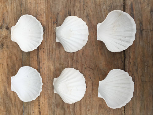 Pretty Pair of Porcelain Scallop Shell Dishes - French General Trading